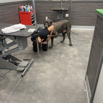 Pet Supplies Plus Orange Park - Pet Groomers Near Me - Orange Park, Florida