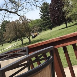 Rivermoor Golf Club - Giant bumble bee that watched over me.