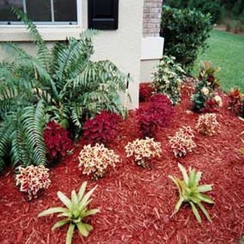 Landscape By Design - a red mulch bed with plants - Landscape Architects or Designers Near Me Landscape By Design - a red mulch bed with plants - Landscape Architects or Designers Near Me
