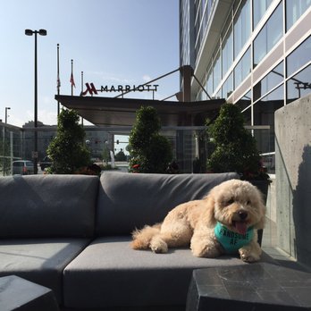 Omaha Marriott Downtown at the Capitol District - Hotels Near Me - Omaha, Nebraska