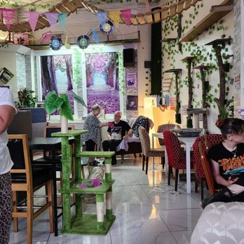 Purple Cat Cafe - Cafes Near Me - Glasgow, GLG