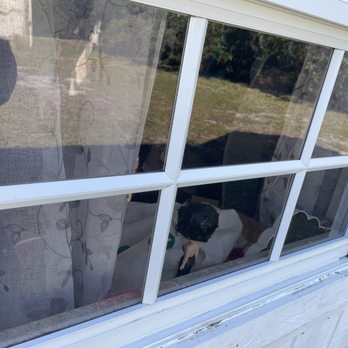 Everglow Window Cleaning Services - Window Washing Near Me