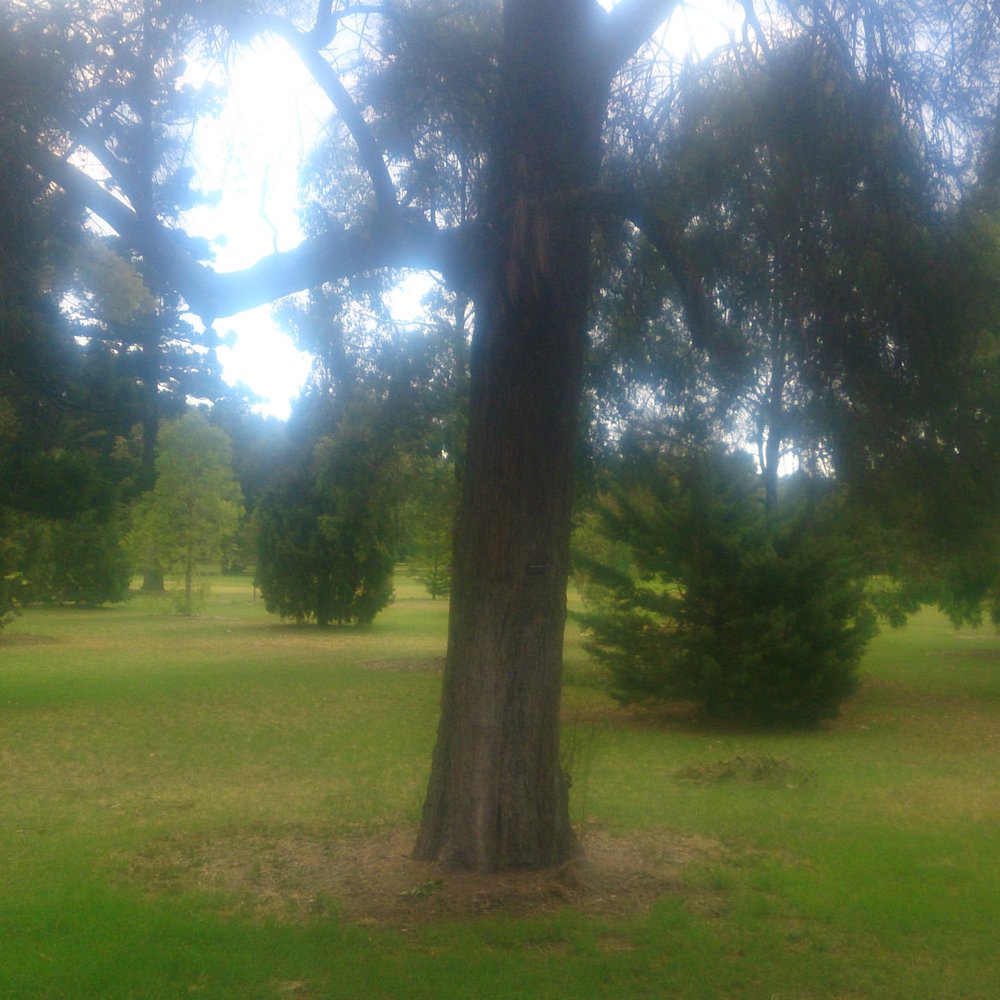 Botanic Park - Parks Near Me - Adelaide, SA