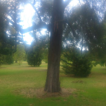 Botanic Park - Parks Near Me - Adelaide, SA