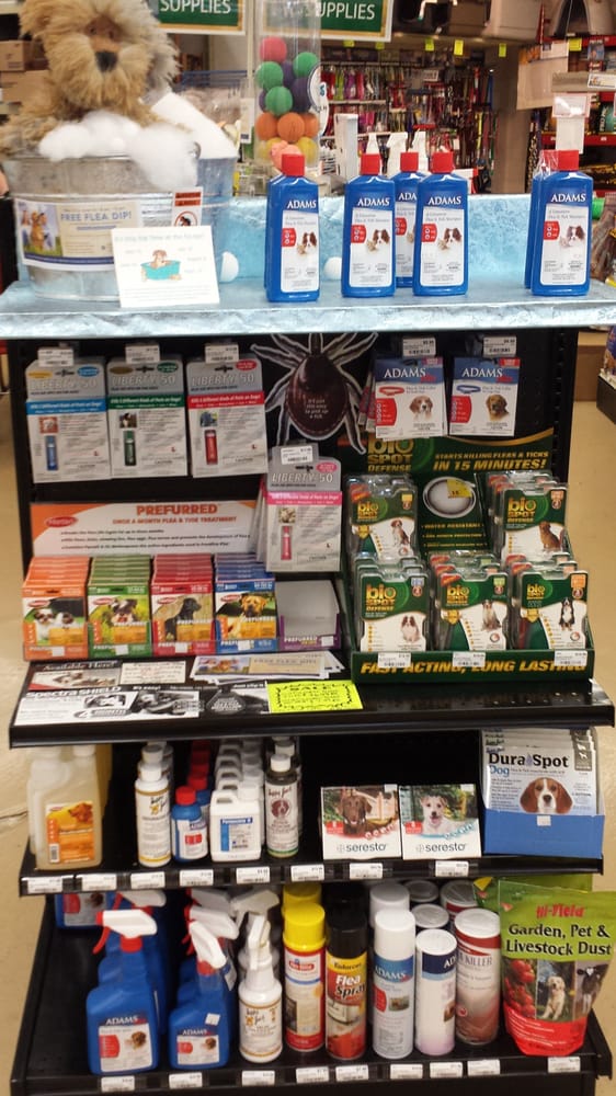 Williamson Farmers Co-Op - beekeeping in Franklin, TN