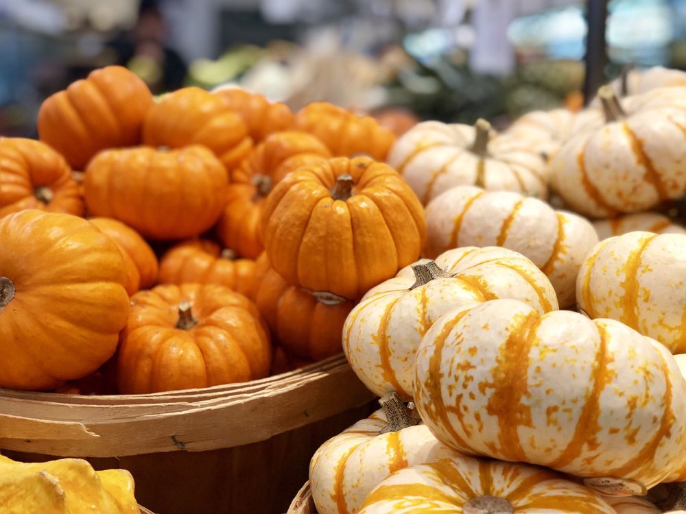 JENSEN’S FOODS 112 Photos & 167 Reviews 27264 Hwy 189, Blue Jay, CA