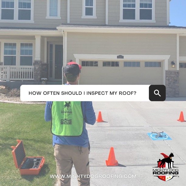 MIGHTY DOG ROOFING OF THE WOODLANDS AREA Updated September 2024