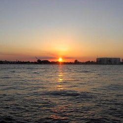 Palm Beach Pearl - Nothin Beats it