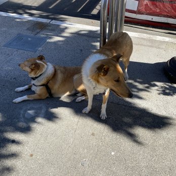 University Village - Good bois - Shopping Centers Near Me - Seattle, Washington University Village - Good bois - Shopping Centers Near Me - Seattle, Washington