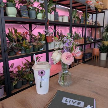 Bloomsgiving - Florists Near Me - Mountain View, California Bloomsgiving - Florists Near Me - Mountain View, California