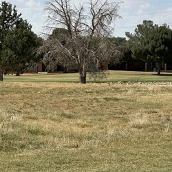 Green Tree Country Club - Brown tree