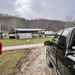 Lawrence Creek Campground - Looking to pavilion from water front site