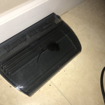 South Kohala Management - Another live mouse in trap - Vacation Rentals Near Me - Waimea, Hawaii South Kohala Management - Another live mouse in trap - Vacation Rentals Near Me - Waimea, Hawaii