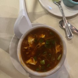 Chicken Hot and Sour Soup