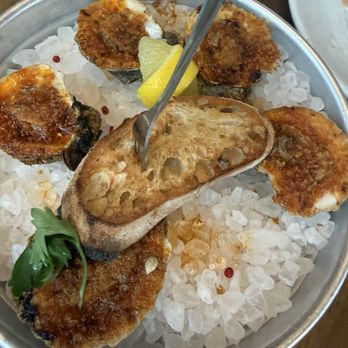 OLIVIA - Oysters - Italian Near Me - Tampa, Florida