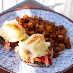 Maine Lobster Benedict
