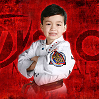 Vision Martial Arts - Vision Martial Arts Karate For Kids - Martial Arts Near Me - Raleigh, North Carolina Vision Martial Arts - Vision Martial Arts Karate For Kids - Martial Arts Near Me - Raleigh, North Carolina