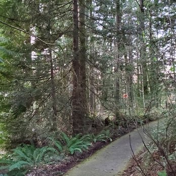 Watershed Preserve - Parks Near Me - Redmond, Washington