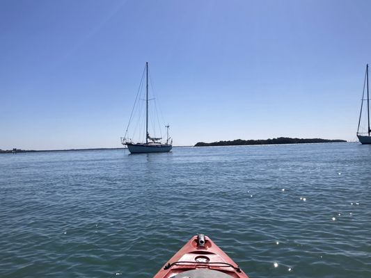 Happy Paddler Kayak Tours & EcoVentures by null