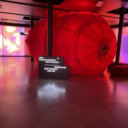Centre PHI - New exhibition - Sex + desires + data