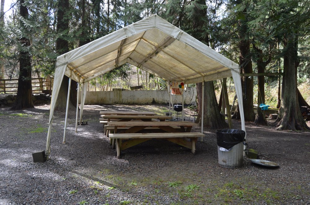 SPRINGBROOK TROUT FARM CLOSED 96 Photos & 29 Reviews Fishing