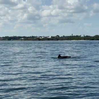 Ferg's Fishing - Boat Charters Near Me