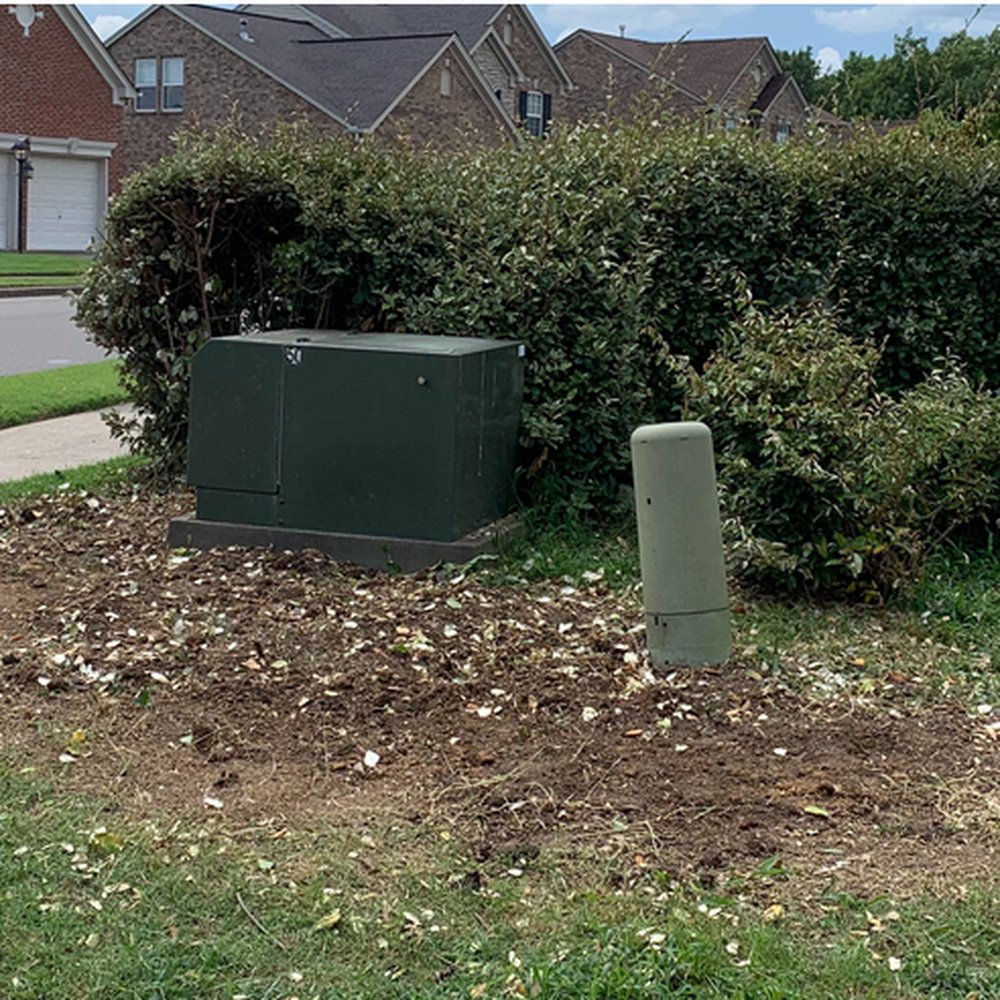Such a great sight to see the ugly bush gone from our yard. You can see how bad it looked before because the neighbors side was still up Such a great sight to see the ugly bush gone from our yard. You can see how bad it looked before because the neighbors side was still up
