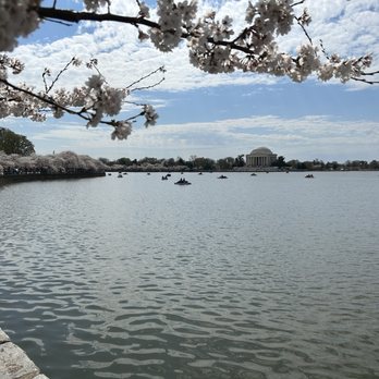 Tidal Basin - Lakes Near Me - Washington, DC, District of Columbia