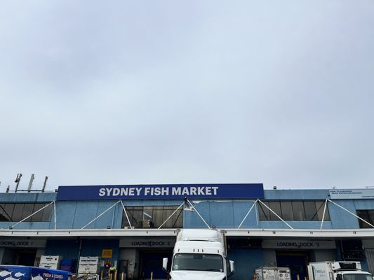 Sydney Fish Market by null