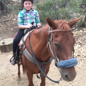 Baldwin Lake Stables - Horseback Riding Near Me - Big Bear City, California