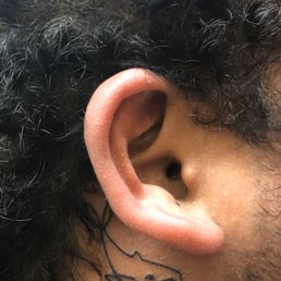 Whale behind left ear Whale behind left ear