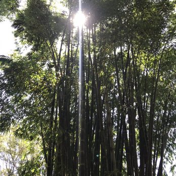 Hike Maui - Tours Near Me - Kahului, Hawaii Hike Maui - Tours Near Me - Kahului, Hawaii