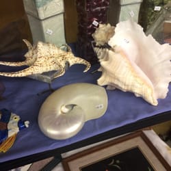 Father James B Hay Thrift Store - Yes!!!! As an avid collector of shells this is exciting! AND in the desert?! Coolness,,,
