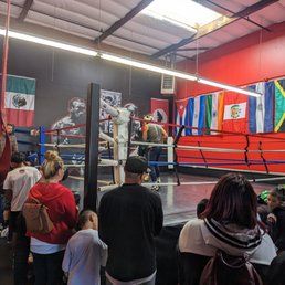 Sparring sessions