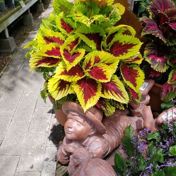 Walter Andersen Nursery - Nurseries & Gardening Near Me - San Diego, California Walter Andersen Nursery - Nurseries & Gardening Near Me - San Diego, California