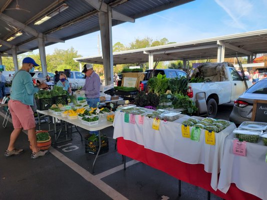 Alachua County Farmers' Market by null