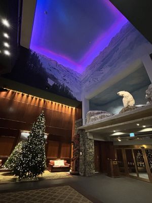 Alyeska Resort by null