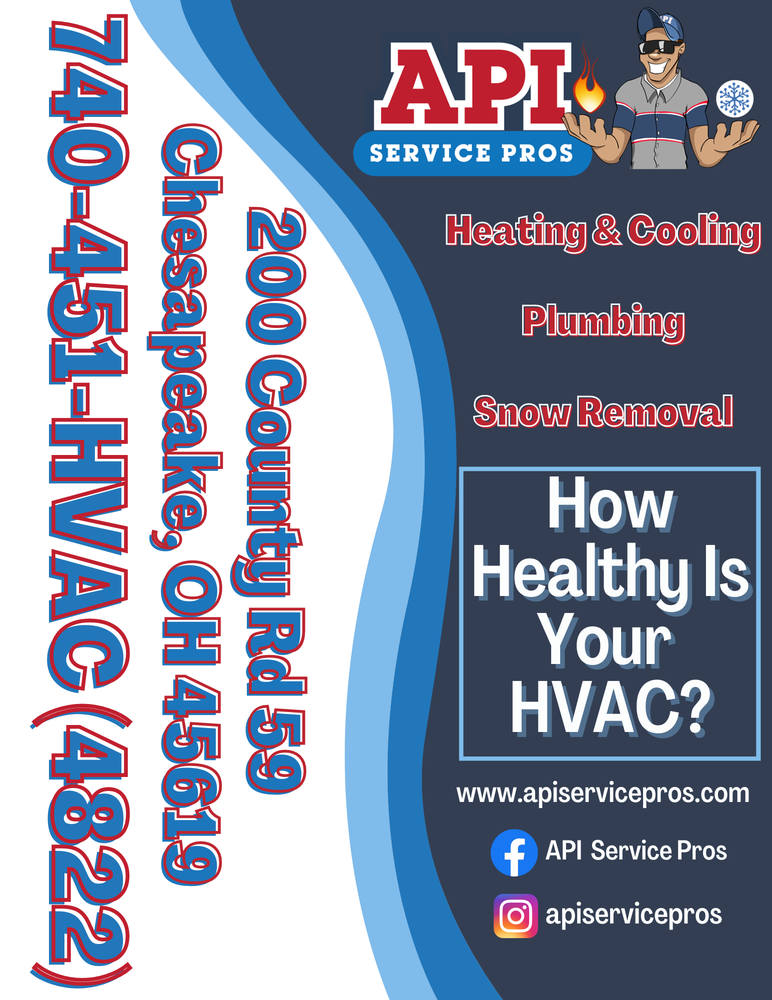 Slide of API Service Pros