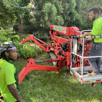 Schneider Tree Care - Tree Services Near Me - Charlotte, North Carolina Schneider Tree Care - Tree Services Near Me - Charlotte, North Carolina