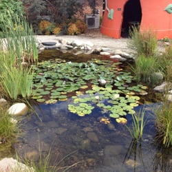 Simpson Garden Community Center - Pond with frogs near entrance in the Children's Discovery Garden. Great place for kids. Sept. 2015.