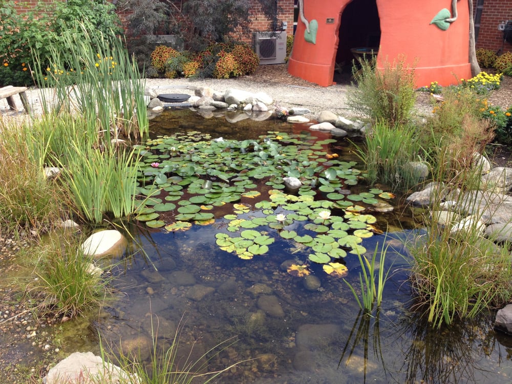 SIMPSON GARDEN COMMUNITY CENTER Updated September 2024 23 Photos 1291 Conneaut Ave