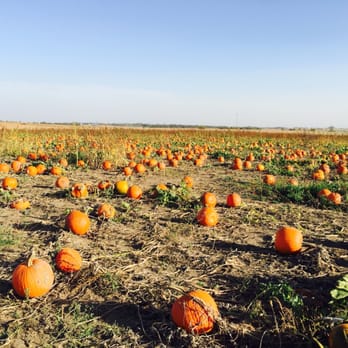 Keller's Farmstand - Pick Your Own Farms Near Me - Oswego, Illinois
