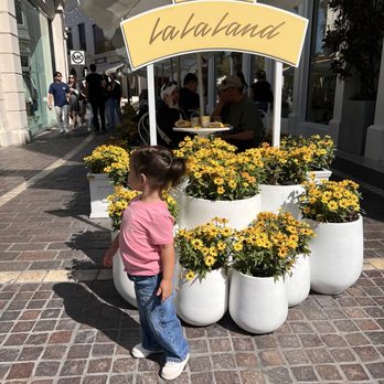 La La Land - Coffee & Tea Near Me - Los Angeles, California