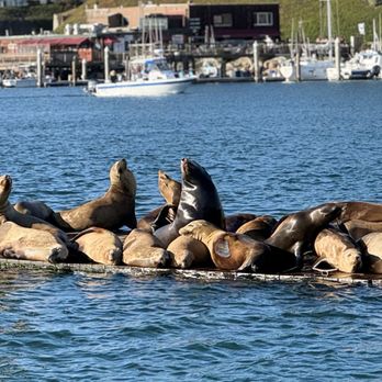 Lost Isle Adventures - Boat Tours Near Me - Morro Bay, California
