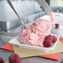 Shivers Frozen Custard & Coffee - Raspberry Truffle