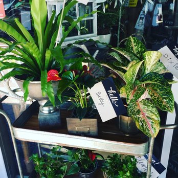 Scout Homegoods - Home Decor Near Me - Waco, Texas