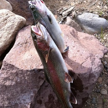 Frenchman Lake Recreation Area - Fishing not hard at all. - Campgrounds Near Me - Chilcoot, California