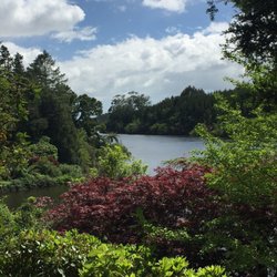 Waiwhakaiho Reserve