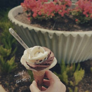 Amorino Gelato - Gelato Near Me - Houston, Texas Amorino Gelato - Gelato Near Me - Houston, Texas