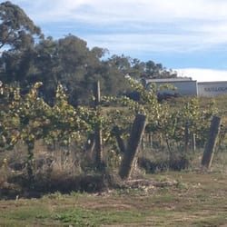 Skillogalee Wines